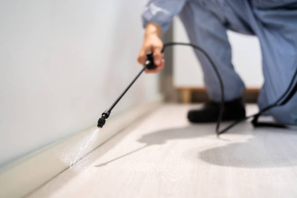 Professional exterminator conducting IPM assessment in Tyrone